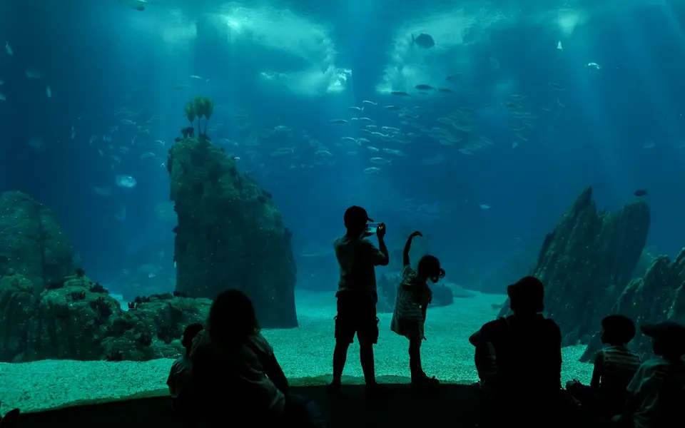 Oceanário de Lisboa